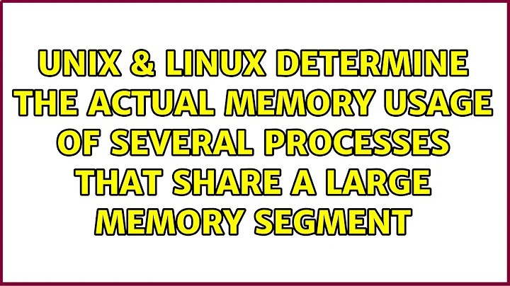 determine the actual memory usage of several processes that share a large memory segment