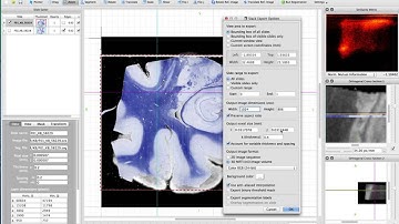 HistoloZee Tutorial 13 - Exporting reconstruction projects as 3D "NIfTI" images