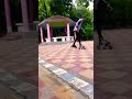 #skating