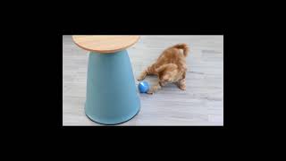 Remote Control Pet Bounce Ball