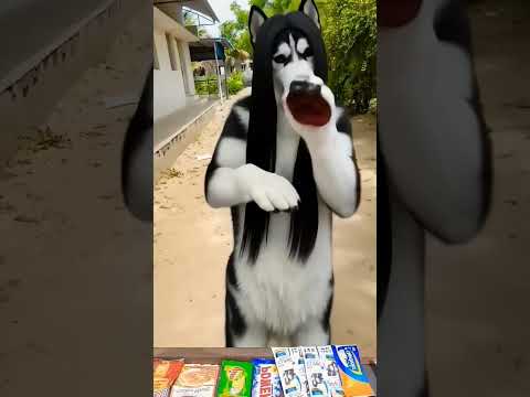 Naaye Thakkali 25 Rooba