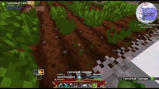 Continuing to supply the colony food (Silent) [Minecraft Otherworld]