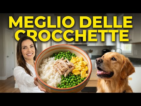 Video Cani Più Sani con Questa Ricetta di Riso alla Cantonese