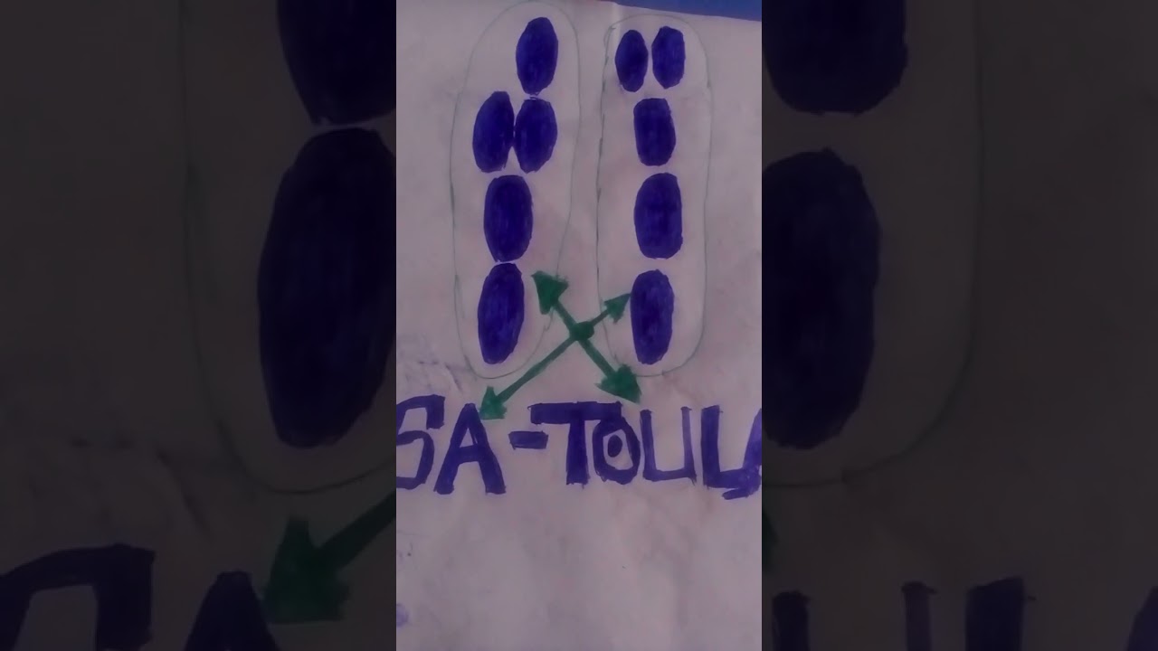 SA  TOULA - DOSSIER 4 / FONGBÉ  BOCÔNON  FASSÉGAN  TÔGBOFÔDJI   ALÔMONNONWLIDJÔHON  W .