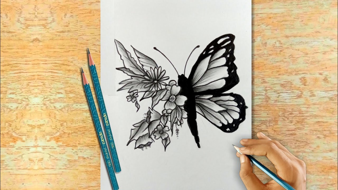Creative Butterfly Drawing | Easy Pencil Drawing for Beginners ...