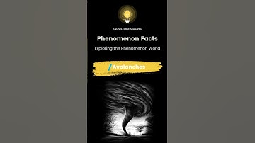 The Fascinating World of Avalanches: Power, Complexity, and Safety