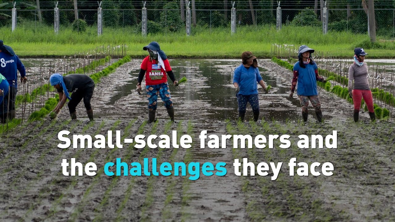 Small-scale farmers and the challenges they face