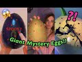 [ASMR] 3 GIANT SURPRISE EGGS!!😱🥚TikTok Compilation | Rhia Official♡