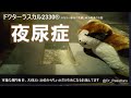[ツイキャス] ラジオ 夜尿症 (2021.04.01)