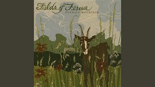 Fields of Fescue - Furnace Mountain