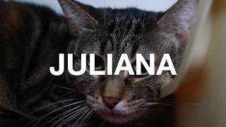 Adopt Juliana at NKLA