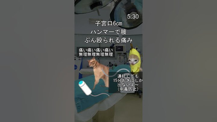 無痛分娩レポ② #shorts  #猫ミーム