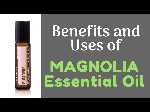 Video: Magnolia White (plant) - Beneficial Properties And Uses Of Magnolia, Flowers And Magnolia Seeds