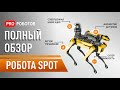 Робот Boston Dynamics Spot: распаковка и полный обзор самого крутого робота в мире