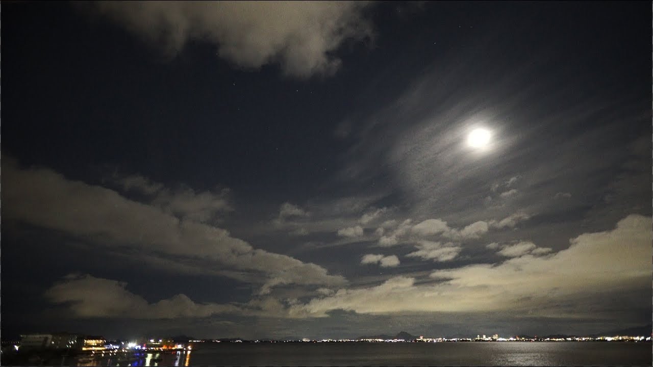 しし座流星群の動画 画像 動画検索 マイルドサイト