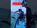صید حلوا بحرینی غول پیکر در خلیج فارس نبرد سنگین با ماهی قدرتمند