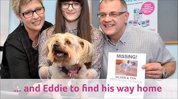 Thank You to our Amazing Volunteers