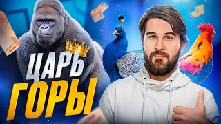 видео: Как нас разоряет иерархическая борьба. Как доминирование делает нас несчастными. Этология и деньги картинка: Как нас разоряет иерархическая борьба. Как доминирование делает нас несчастными. Этология и деньги