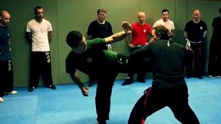 Académie de Wing Chun Traditionnel de Toulouse -  Stage coup de pied avec sifu Didier Beddar