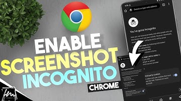How to Screenshot Incognito Mode in Chrome (2023)