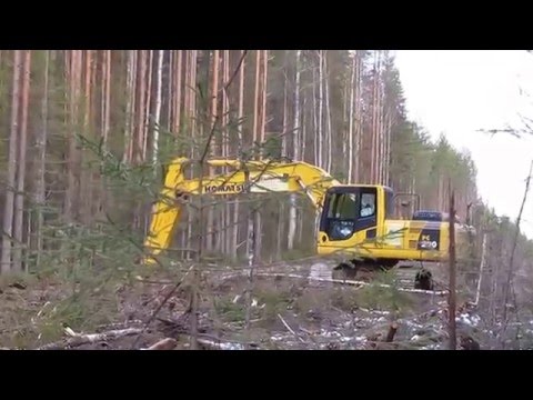 Строительство дорог в лесах р.Коми.