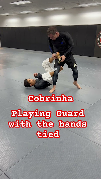 Cobrinha Brazilian Jiu-Jitsu & Fitness 