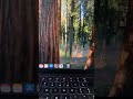 WiFi Is Not Working On Mac