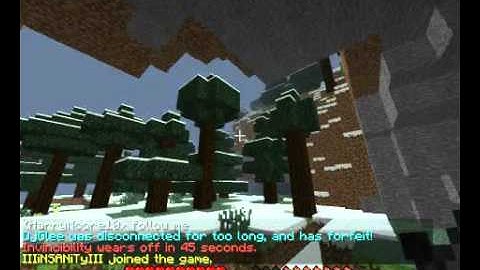 Minecraft the hunger games.