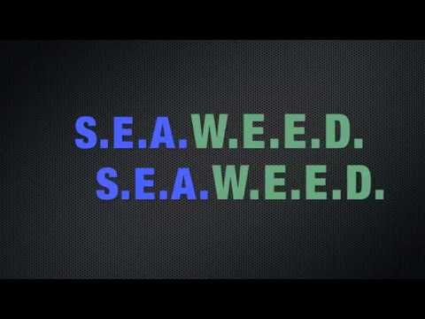 Miami Barz -Seaweed Ft. Wiz Khalifa 2013