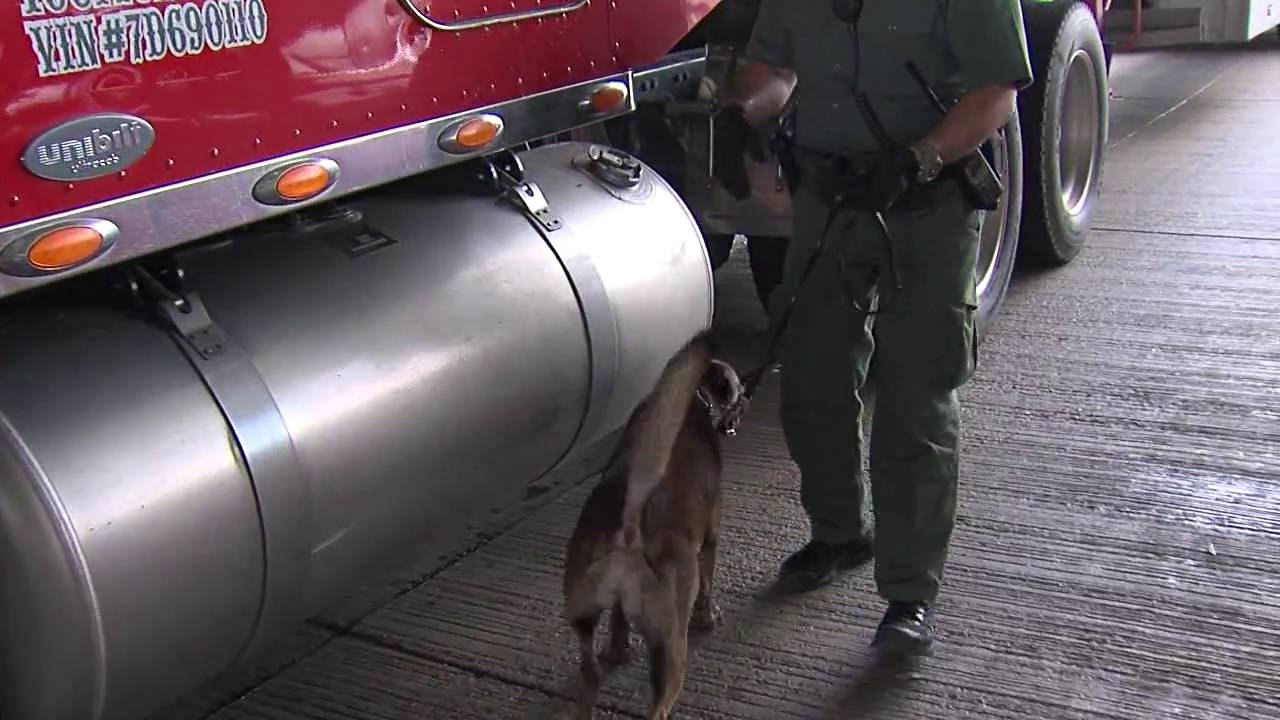 Border Patrol Checkpoint at Falfurrias Story YouTube