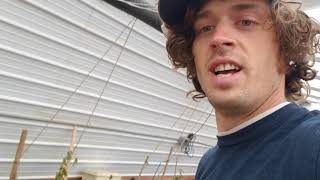 Geothermal passive solar greenhouse edensorganicroots update 3