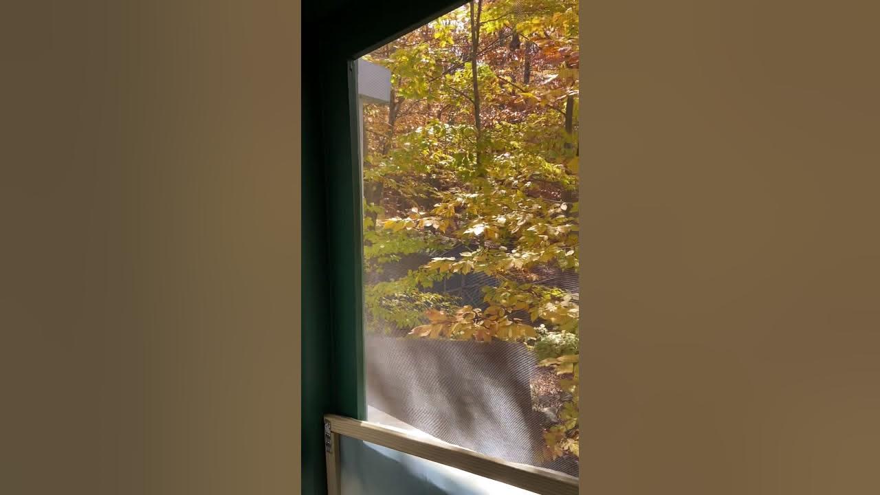 How to winterize your enclosed porch YouTube