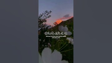 سورة الفجر 💙 ياسر الدوسري