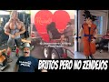 Brutos pero no zendejos