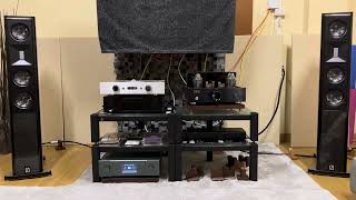 Tong Li /Borresen X3 with tube amplifier