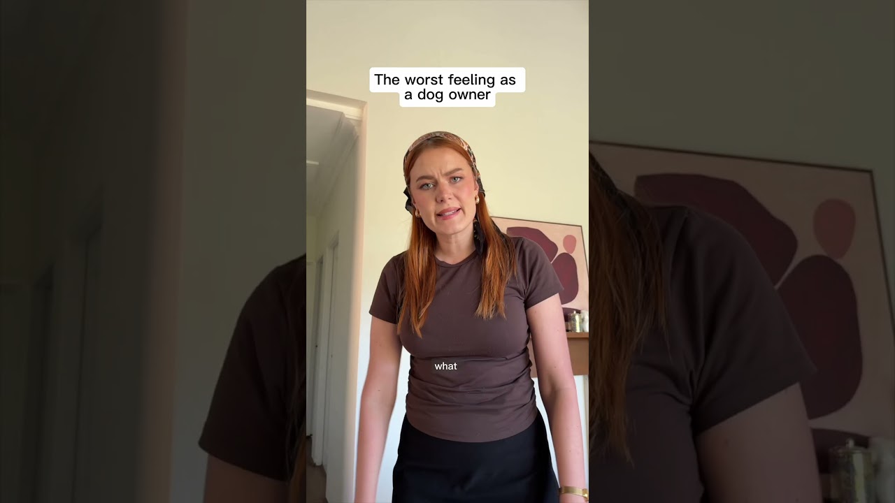 Dog mum shame on me #dog #dogmum #dogmom