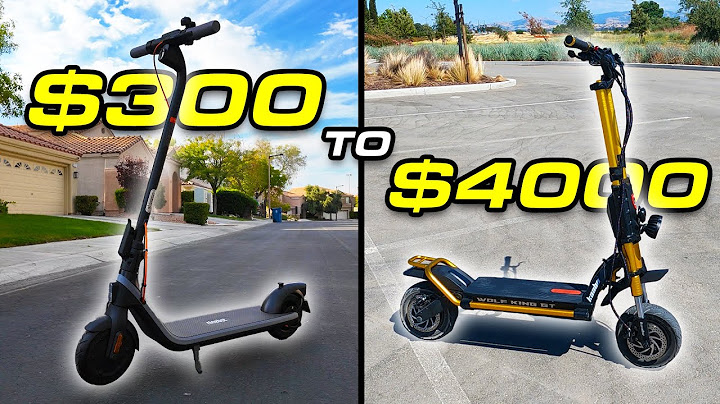 The Best Electric Scooter at Every Price! 2024 Edition