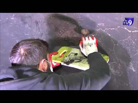 რესტავრატორები ვარძიის მხატვრობას ჭვარტლისგან ასუფთავებენ