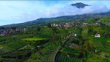 SERPIHAN SURGA DI LERENG GUNUNG SUMBING, PESONA KEINDAHAN DESA DUSUN WUNUT