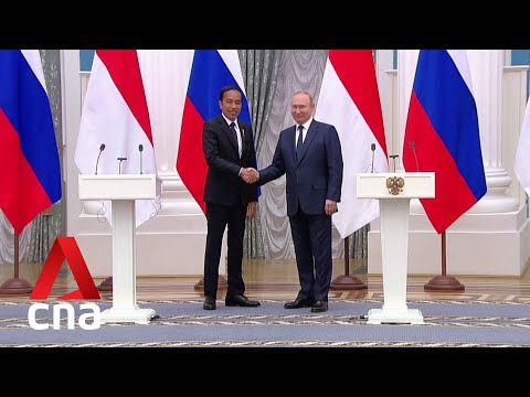 Indonesia’s Joko Widodo meets Vladimir Putin in Moscow