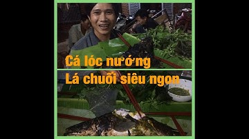 CÁ LÓC NƯỚNG LÁ CHUỐI SIÊU NGON CỦA AE TÂY NGUYÊN(Snakehead fish with Vietnamese banana leaves)