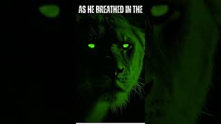 Two Sentence Horror Episode 6 The Mummys Curse