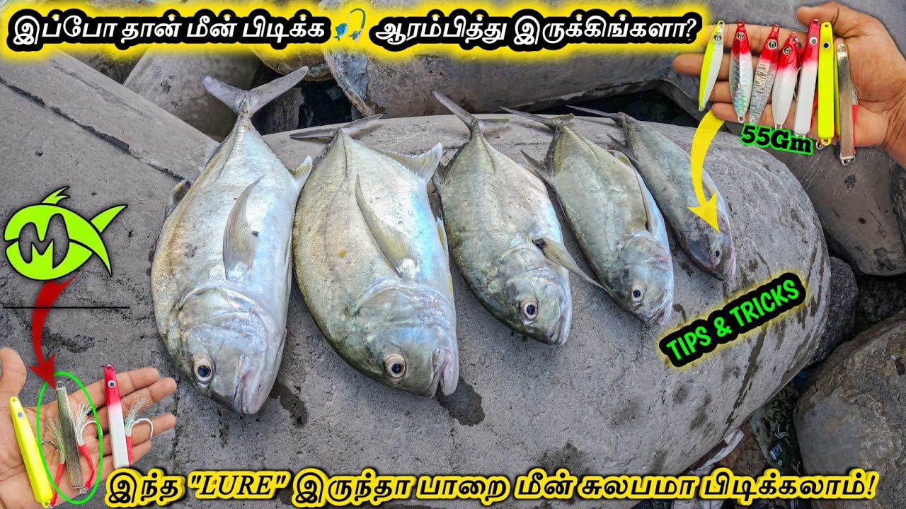 💥MURRVY Lures Suitable for Beginner Anglers? & Worth the Cost? Pure Gt Fishing Tips&Tricks 💯