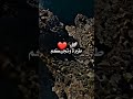 اتمنى روحي تصير طيرة وتجيكم تصميمي خلو لايك حگ نفسي 