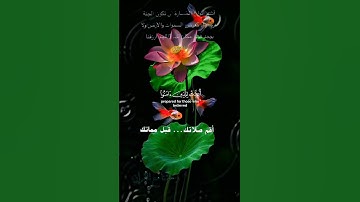 تلاوة خاشعة عطرة مباركة جميلة عذبة للشيخ عبدالباسط عبدالصمد رحمه الله ماتيسر من سورة الحديد