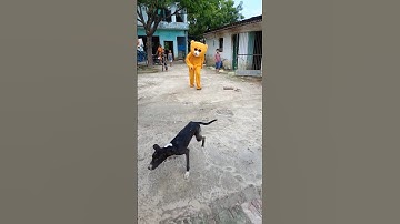 Dheeraj Singh Prank With Dog 🤣 #funny #comedy #prank #fun #dog #shorts #youtubeshorts