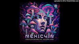 Mexic4in - Psychedelic Worlds