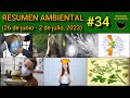 Resumen ambiental de la semana #34 (26 de junio - 2 de julio 2023)