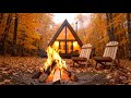 Звуки для медитации и релакса Костёр и осенний лес Campfire and Autumn Forest sounds for meditation
