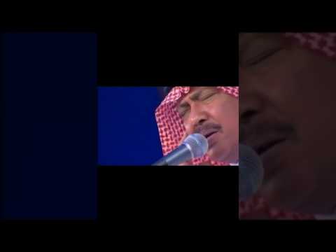 تسرح وتضوى وانت في ارضك موال كما الريشة ابو بكر سالم